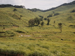 砥峰高原