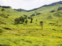 砥峰高原
