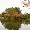 雪吊りと紅葉の兼六園