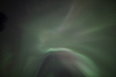 Aurora in Fairbanks (#3)