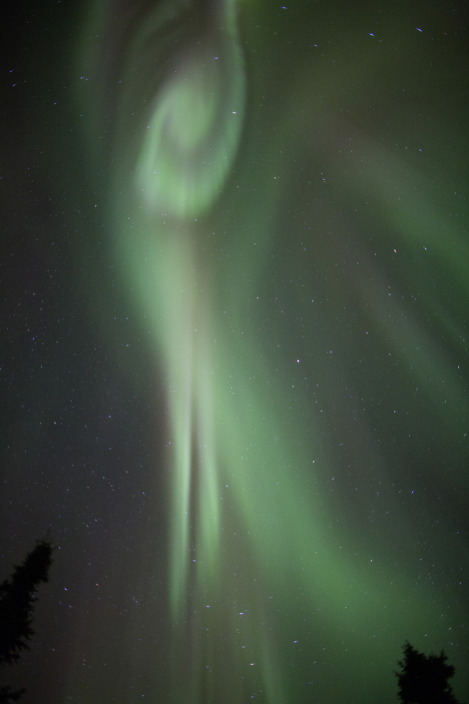 Aurora in Chena Hot Springs Resort (#4)