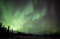Aurora in Fairbanks (#2)