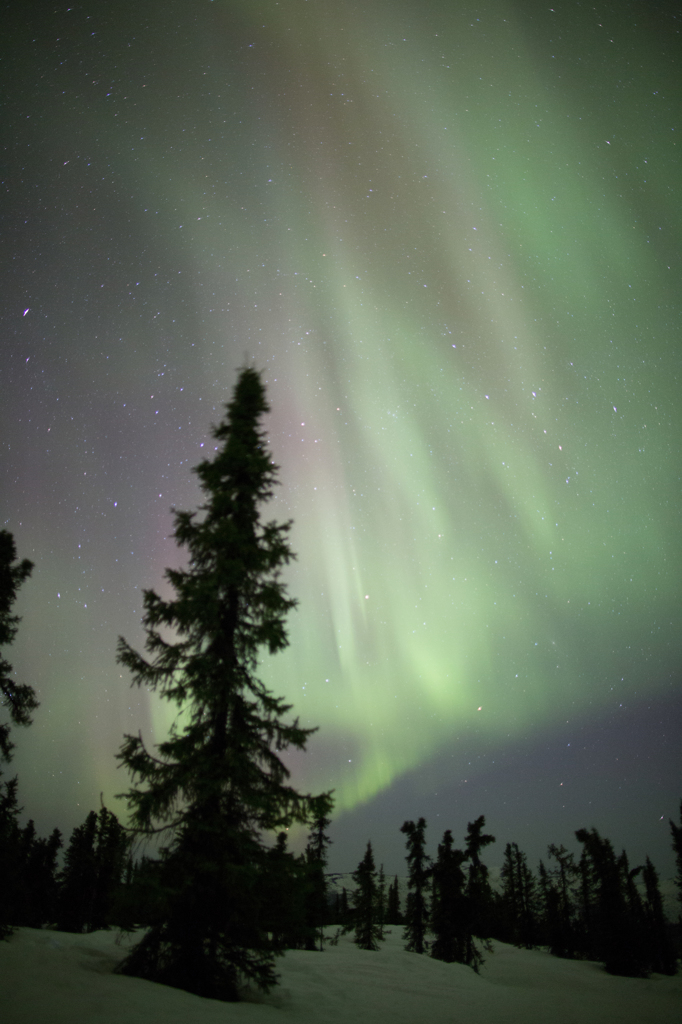 Aurora in Chena Hot Springs Resort (#7)