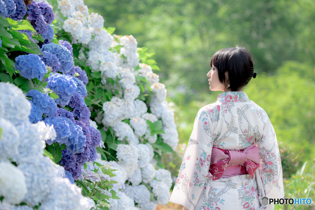 ポートレート　紫陽花