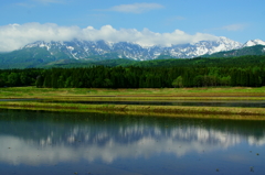 中郷村　田植間近１