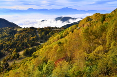 山田牧場