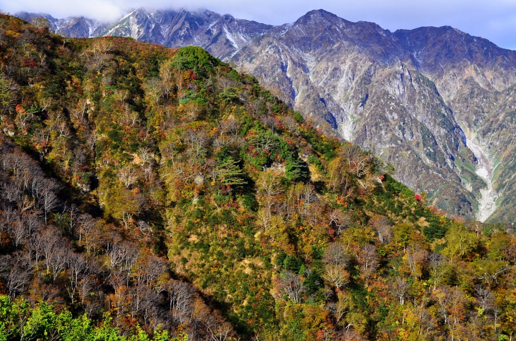 白馬五竜遠見尾根　秋