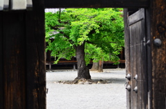 松代城下町1