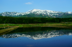 中郷村　田植間近２