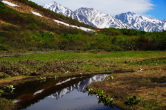 白馬三山映