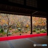季節のうつろい