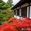 赤と白@東福寺