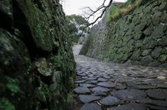 城壁。