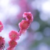 優しく・・・。