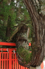 不器用ですが・・・