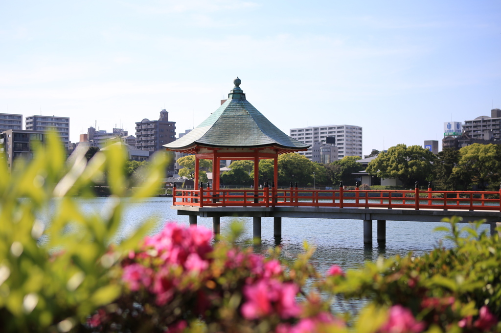 赤い浮見堂（花と共に）。