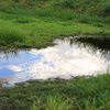 梅雨のち夏①