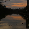 夜が始まる。