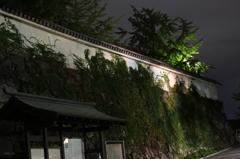夜の城壁。