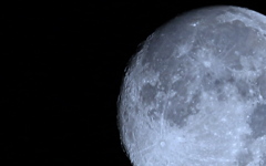 昨夜の月。