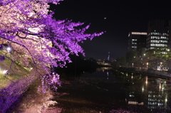 桜とタワーと三日月と・・・。