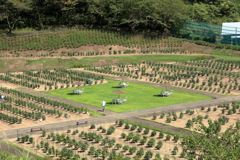 秋田国際ダリア園