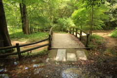 橋