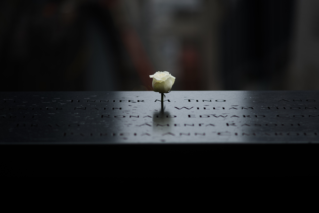 石碑の上に咲く薔薇