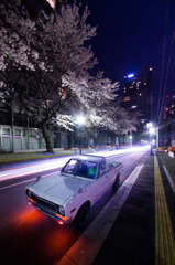 桜と車とビル3