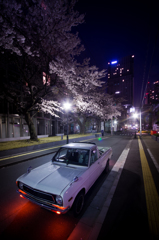 桜と車とビル4