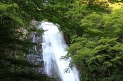 滝