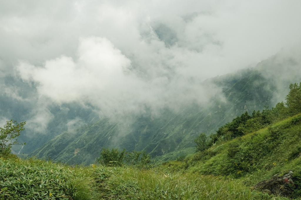 向かいの山