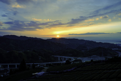 別味