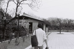 後ろから