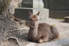 にっこり