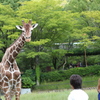 バイバイ