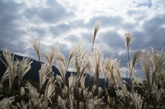 雲の隙間から