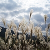 雲の隙間から
