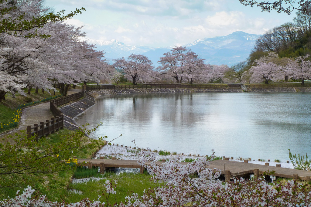 茶屋沼