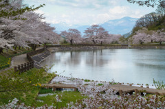 茶屋沼