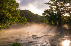 グダリ沼の朝景