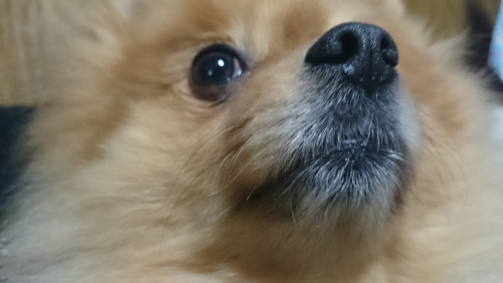 ずっとそばにいてね