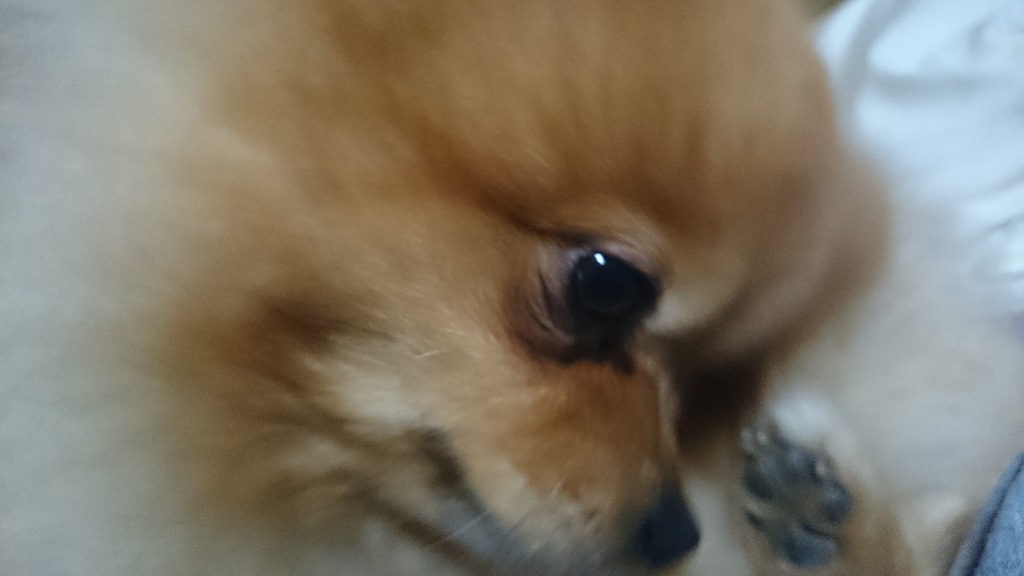 癒し