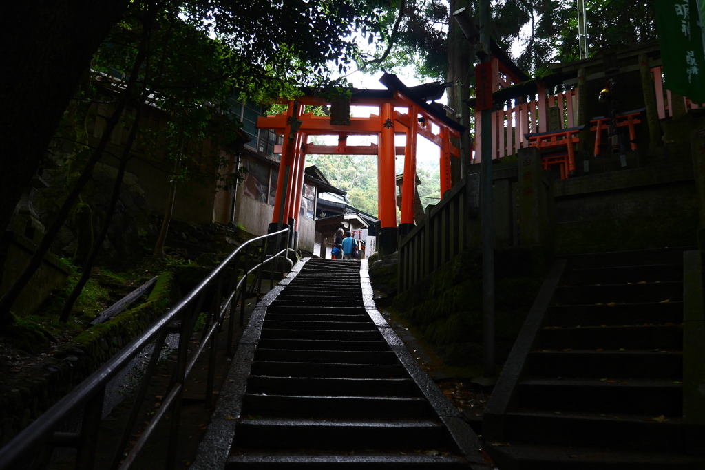 雨上がりの坂道