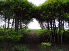 2013-07-19 安須運動公園