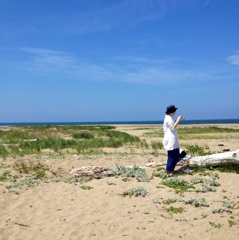 Tは海にいった