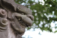 高来神社、狛犬