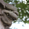 高来神社、狛犬