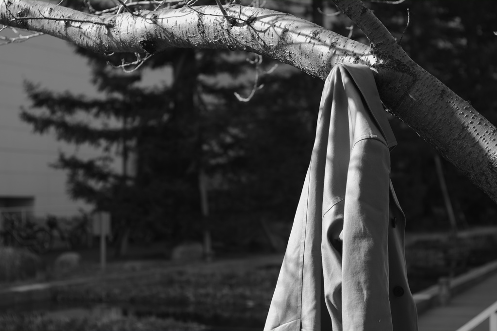summicron