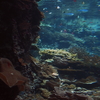 Okinawa